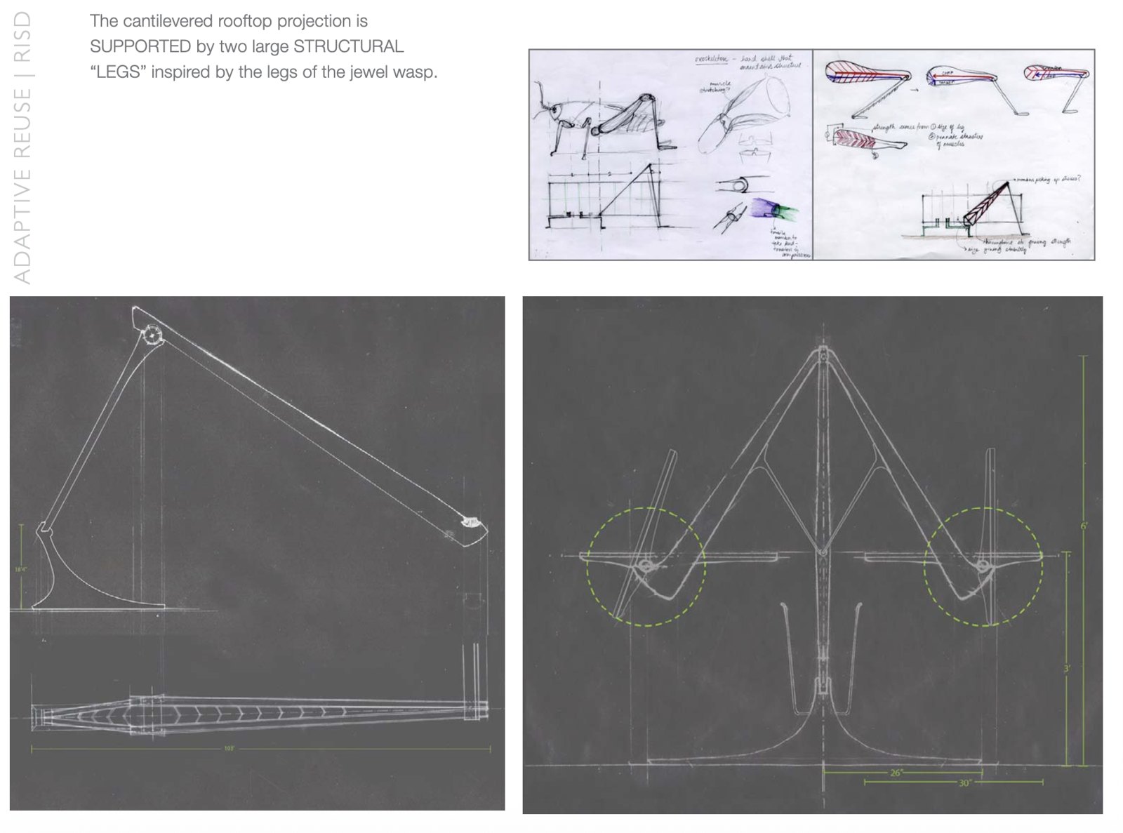 RISD: Adaptive reuse: structural